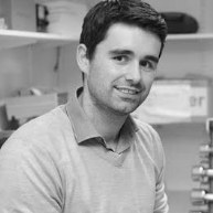 Prof. Stuart Gray
